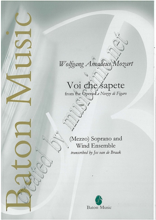 Voi che sapete (from the Opera 'Le Nozze di Figaro') - klik hier