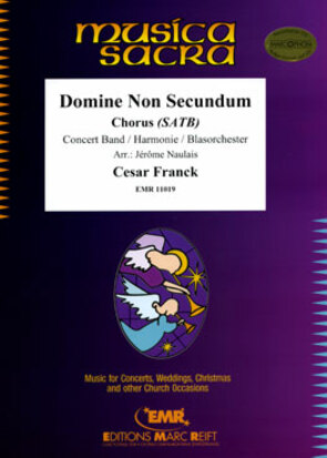 Domine Non Secundum - klik hier Domine Non Secundum - klik hier