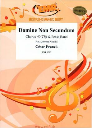 Domine Non Secundum - klik hier Domine Non Secundum - klik hier