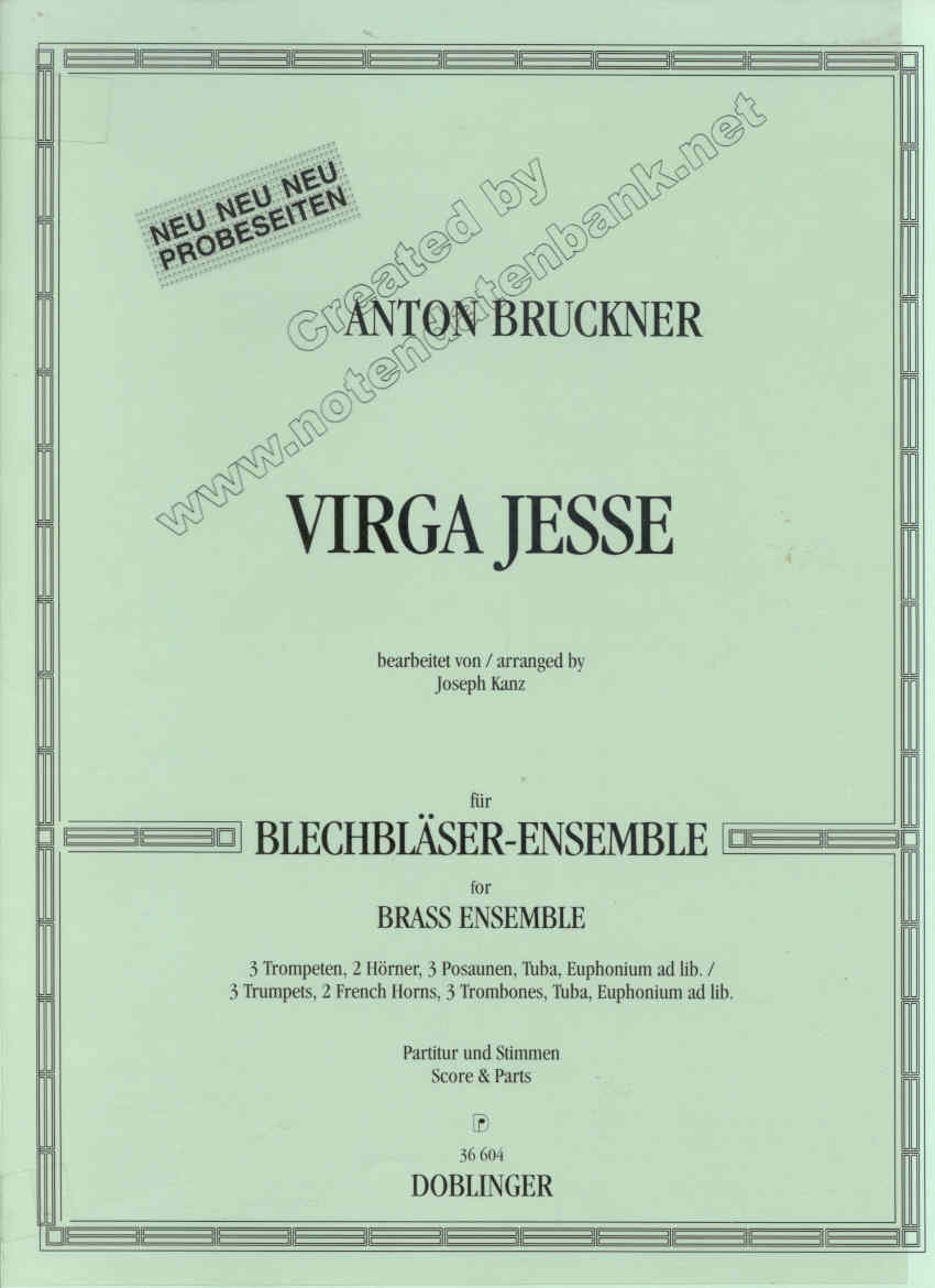 Virga Jesse - klik hier