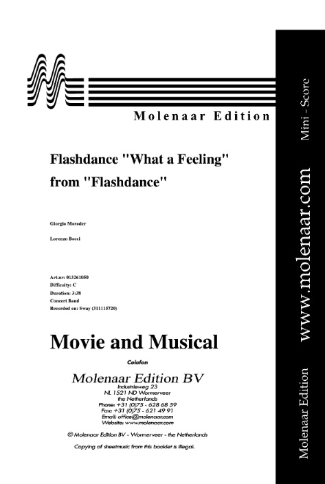 Flashdance� What a Feeling - klik hier