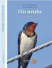Hirundo - klik hier