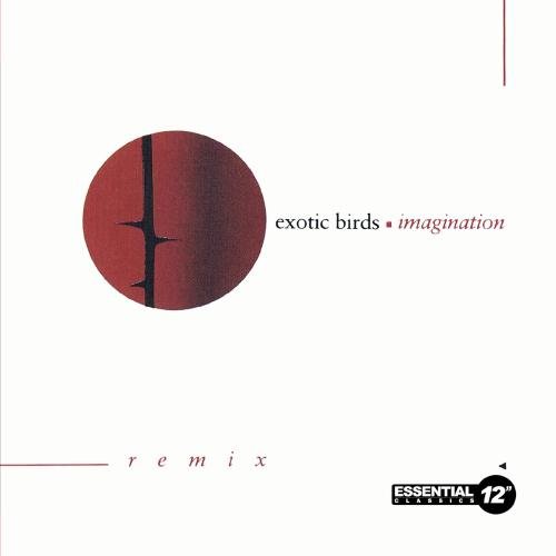 Imagination (Remix) - klik hier